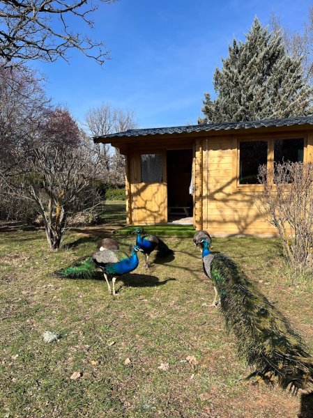 Eden Massage La Verdière - photo 2