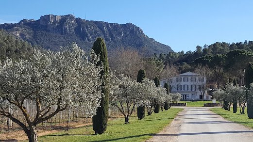 yogayurveda - photo 3