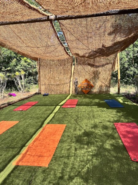 Mélanie MAULAVÉ • Coach Fitness & Pilates certifié (cours privé sur cadillac/reformer & collectif) - photo 2