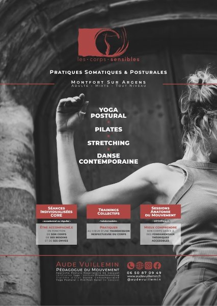 Les Corps Sensibles - Aude Vuillemin - photo 1