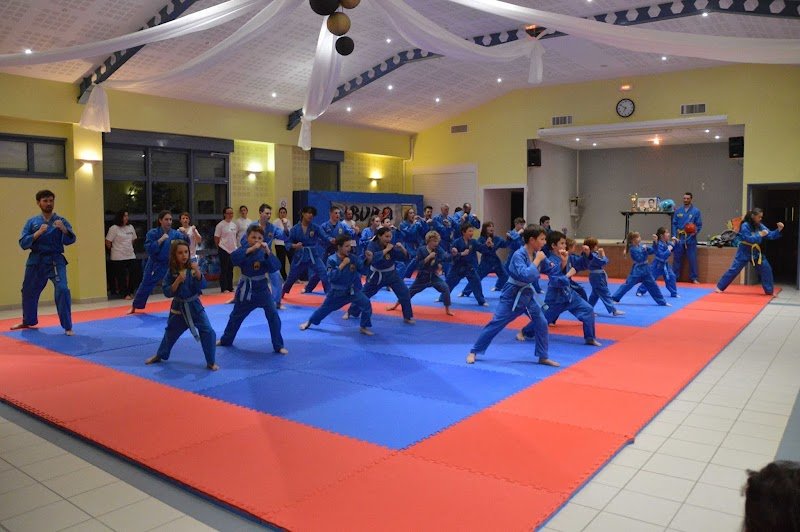 Vovinam Budo 04 - photo 1