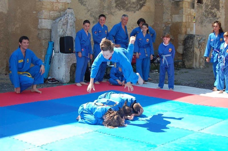 Vovinam Budo 04 - photo 3