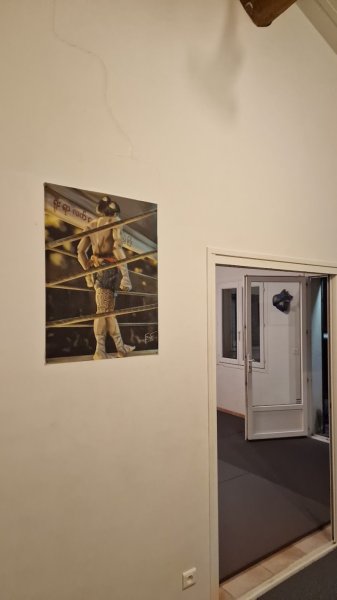 Martial Fusion 84 - photo 3