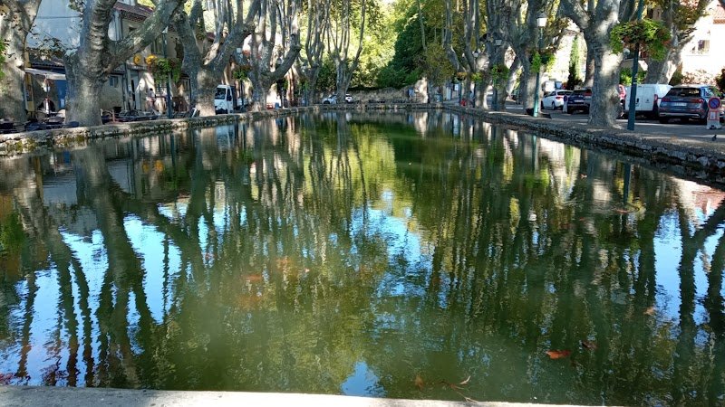 Academy Grappling-jjb-MMA - photo 3