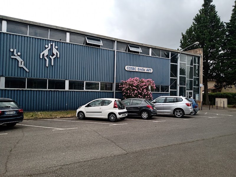 COSEC EMILE AVY - photo 1