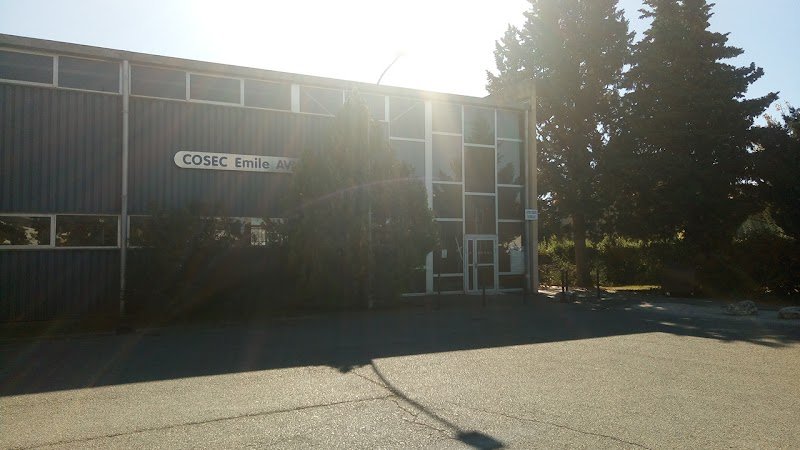 COSEC EMILE AVY - photo 3