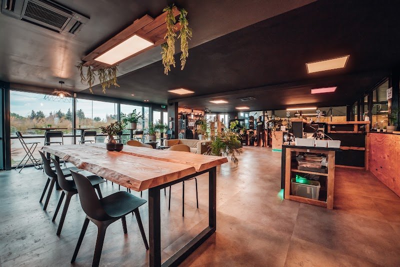 Gymnase Café - photo 3