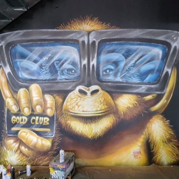 GOLD CLUB CHÂTEAURENARD - photo 1