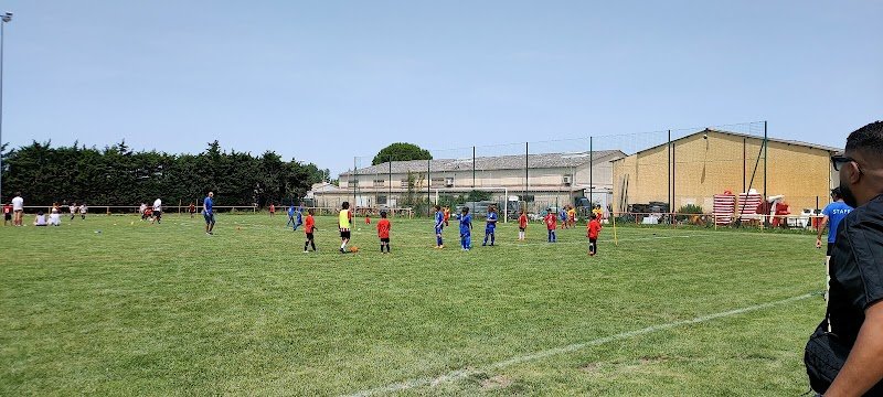 Stade René Laffond - photo 3