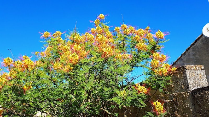 Tennis Club Du Moulin - photo 1