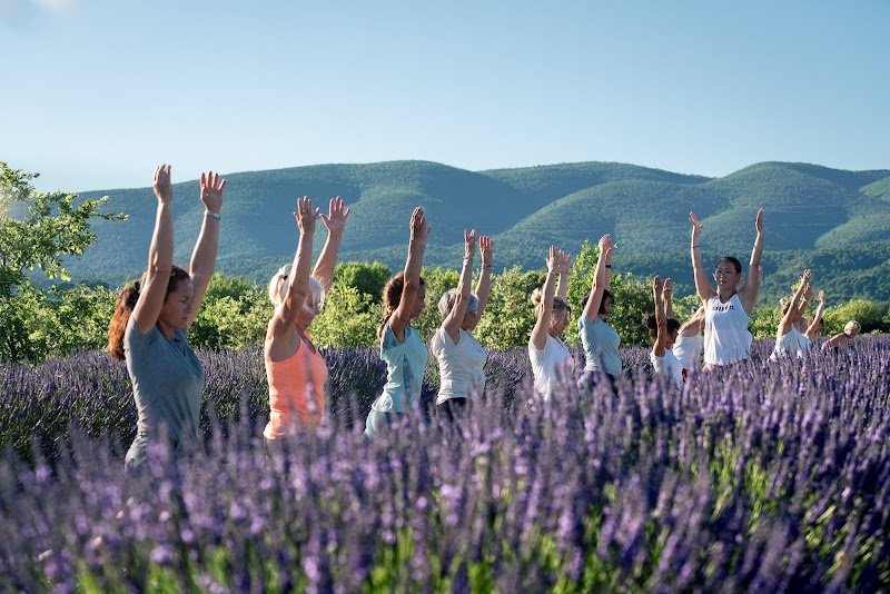 LUÕ - Yoga, Pilates, Soins & Expériences bien être - photo 1