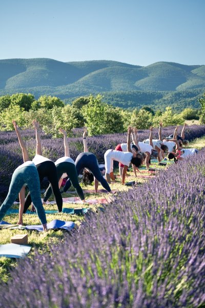 LUÕ - Yoga, Pilates, Soins & Expériences bien être - photo 2