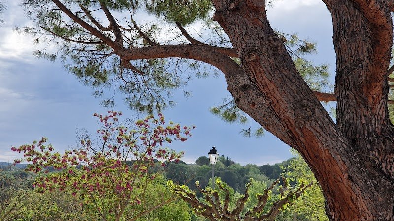 Salle du Pays d'Aigues (salle polyvalente) - photo 3