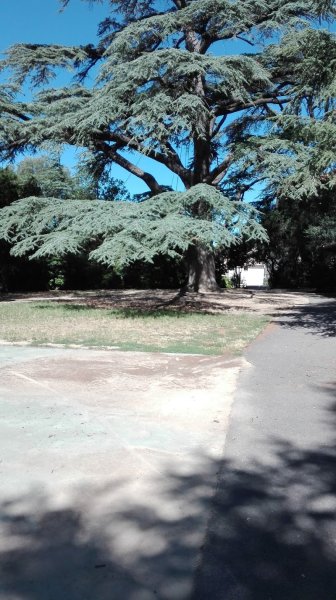 TENNIS CLUB VILLELAURIEN - photo 1