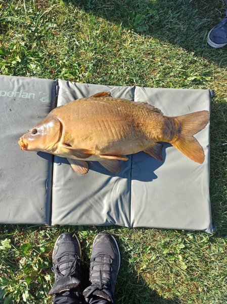 Etang de Malaucène - photo 2