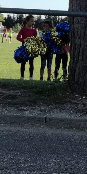 Gymnase Jean Giono - photo 2