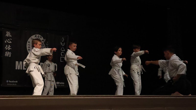 Meiyo Dojo - photo 2