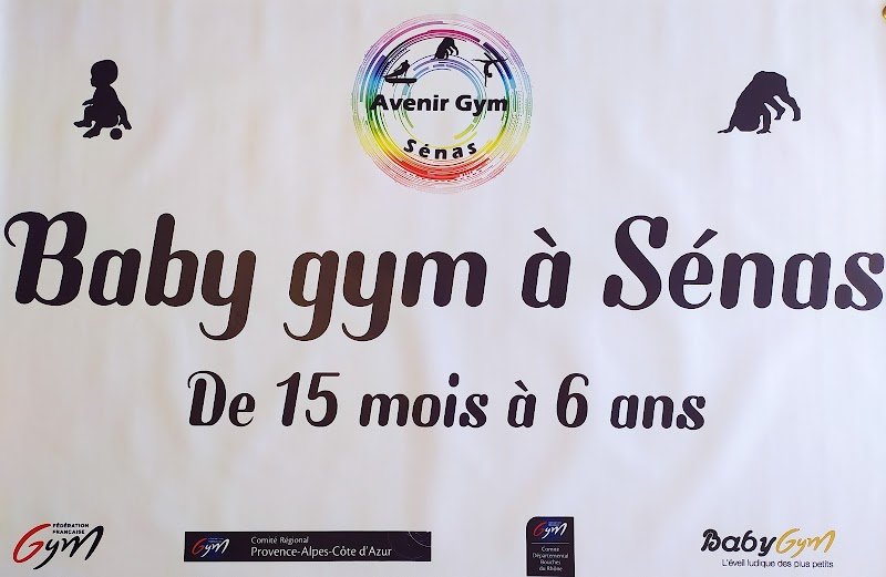 Avenir gym Sénas - photo 1