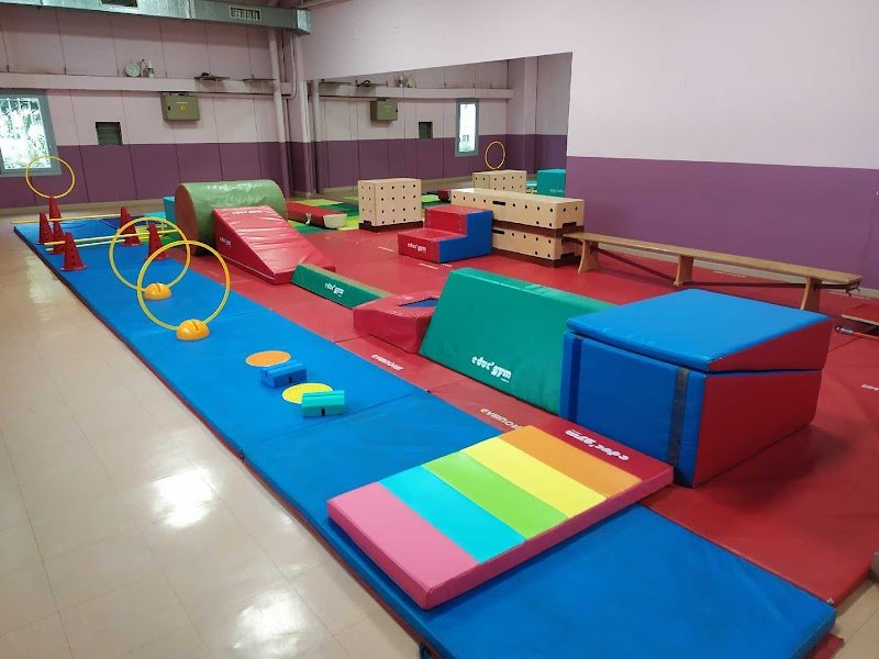 Avenir gym Sénas - photo 2