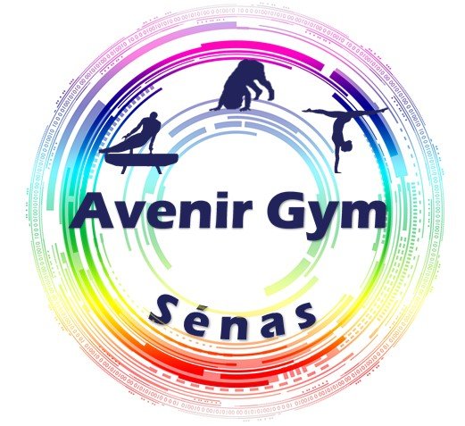 Avenir gym Sénas - photo 3