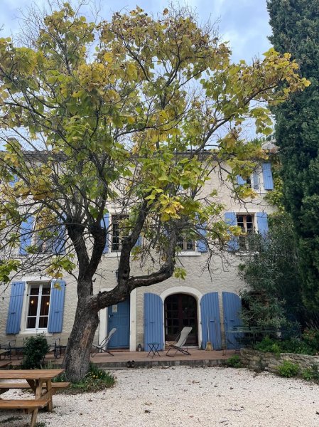 Cours de Yoga - SAHĀ - photo 3