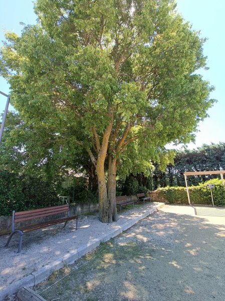 UCHAUX TENNIS CLUB - photo 2