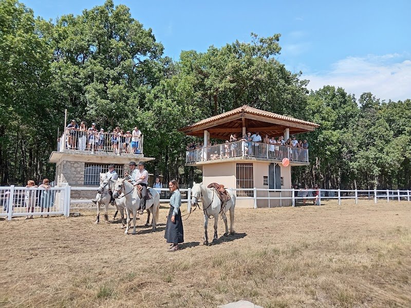 Hippodrome de Sault - photo 1