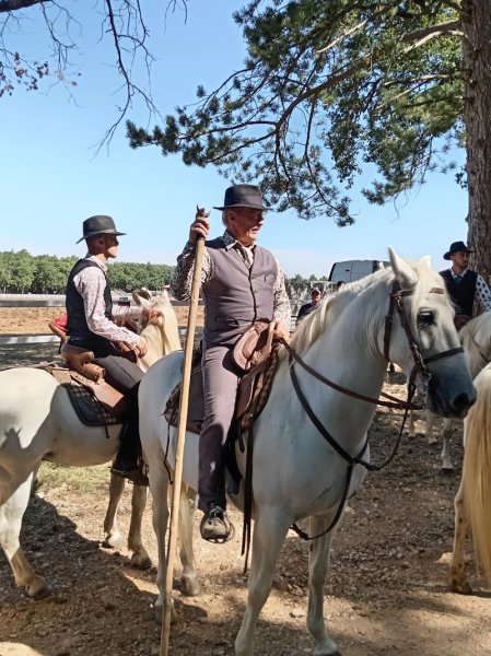 Hippodrome de Sault - photo 2