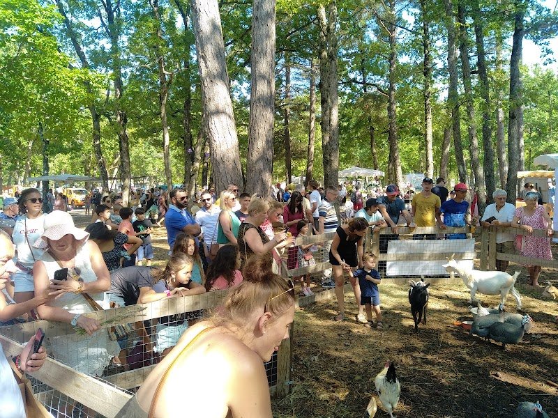 Hippodrome de Sault - photo 3