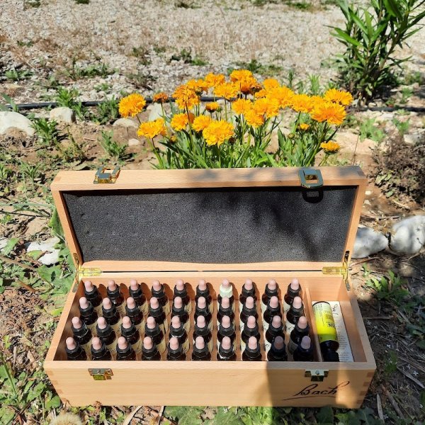 Pilates et Plus - photo 3