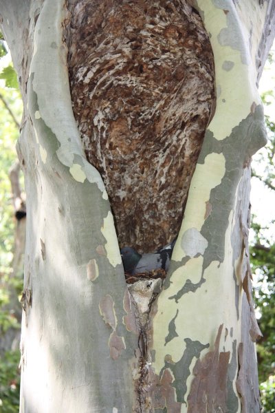 Tennis Club Lourmarin - photo 2
