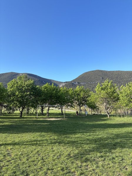 Stade du Tancarville - photo 3