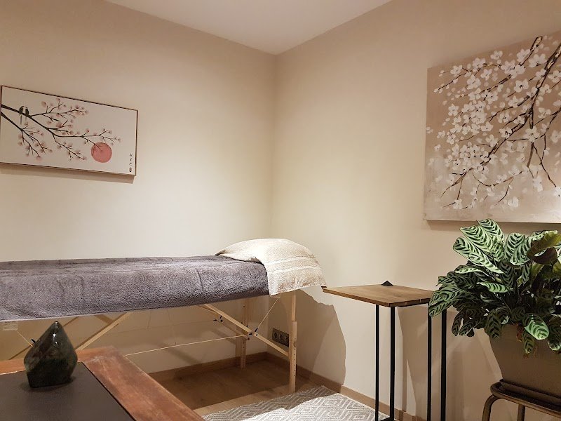 Véronique Leroy - Formations Méthode LME/ Massage des méridiens/Acupressure et neuroplasticité - photo 1