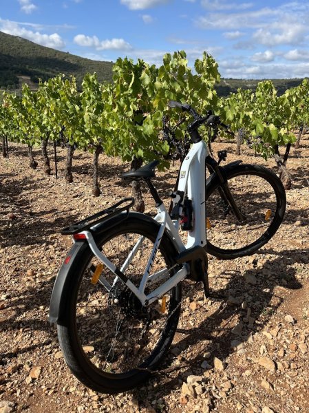 LE CLUB Café Vélo - photo 3