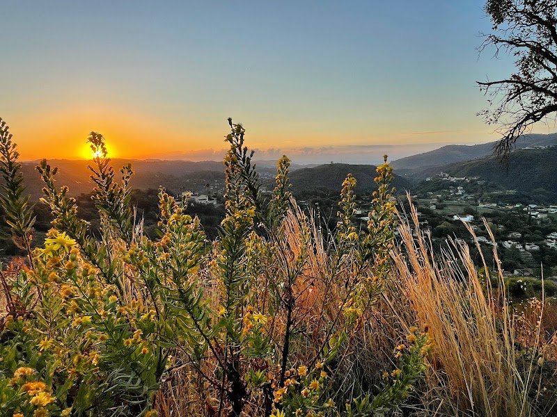 Auribeau judo - photo 1